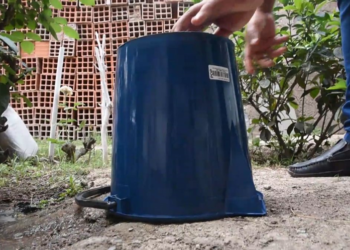 2022 culminó sin registro de casos positivos de dengue