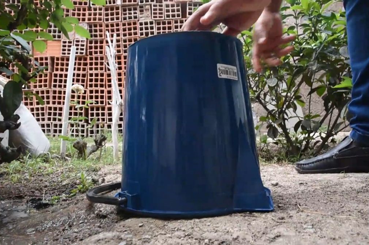 2022 culminó sin registro de casos positivos de dengue