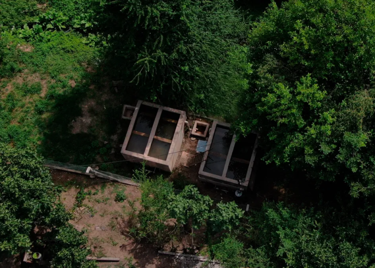 Cuadruplicarán la capacidad de la planta potabilizadora de agua para Los Alisos