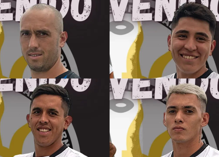 Nuevas caras para Zapla