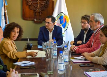 Abordan proyectos de ordenanzas referidos a plataformas digitales y participación ciudadana