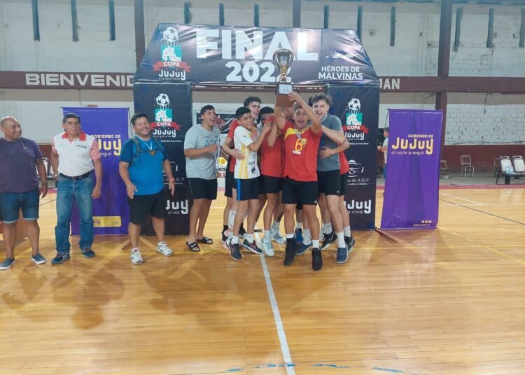 Copa Jujuy de Vóley: hasta el miércoles 29 están habilitadas las inscripciones