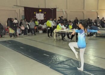 La gimnasia artística infantil tuvo su fiesta en Campo Verde