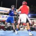 Regional de Boxeo: Jujuy se consolida en la disciplina