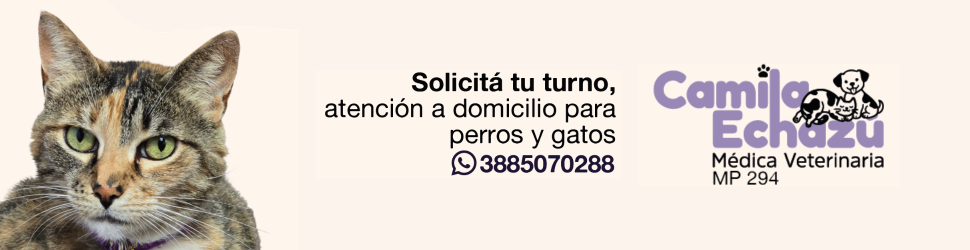 Diseño sin título (1)