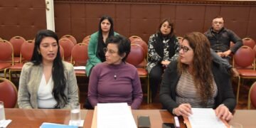 La Comisión de Igualdad de Género recibió a la hermana de Miguel Coria y acompañó el pedido de justicia