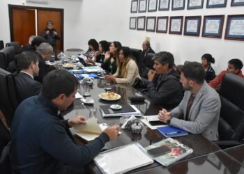La Comisión de Obras y Servicios Públicos analizó el proyecto de Ley de Emergencia Habitacional